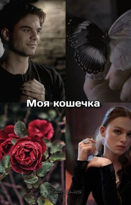 Моя кошечка