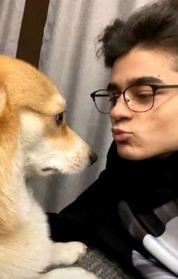  ~как быстро, я заболела тобой~