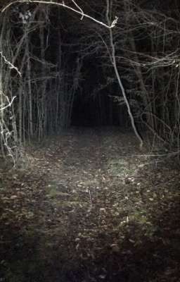 Страшные истории (Закончен)