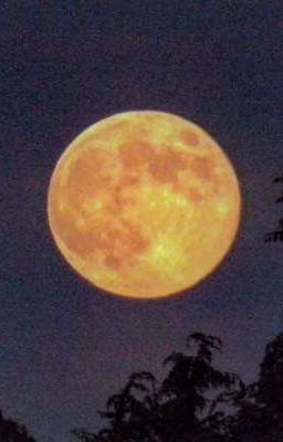 †Обломки Здания† 