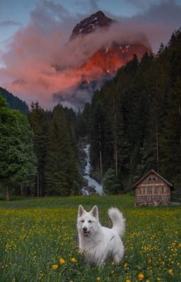 Екатерина Вильмонт «Маскировка для злодейки»