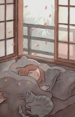 Обрывки моих снов