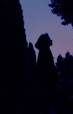 «он надеялся, а она..»