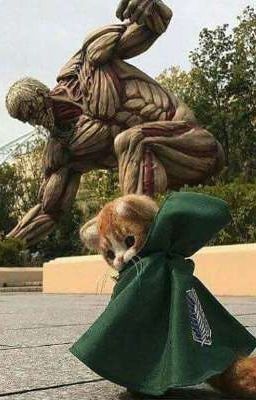 Реакция «Атака Титанов» на fem.Т/и