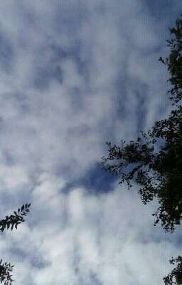 Мои стихи - это боль 