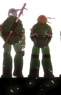черепашки ниндзя (1 част)