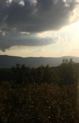 Up Замухрышка 