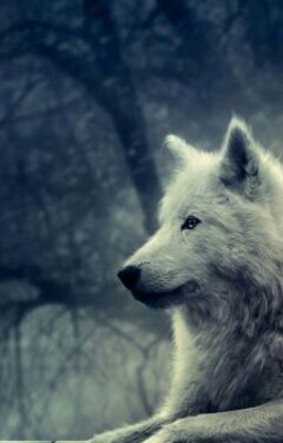 Альфа. Право на любовь.