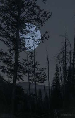 Ночь кровавой луны 