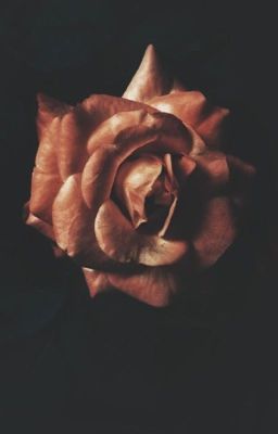 Рассказы в темноте 