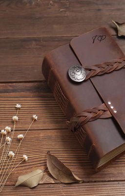 Записи из дневника некого Т.Ф.