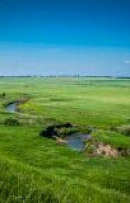 Любовь с двумя  парнями 