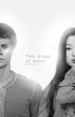 Две капли воды