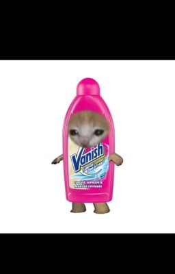 котëнок ваниш