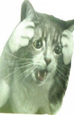 Как сдать экзамен на отлично