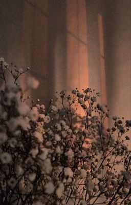 Стихи, цитаты и короткие рассказы