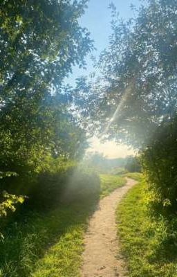 Лето между строк