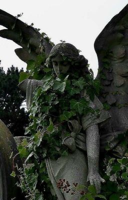 Альбом Воспоминаний