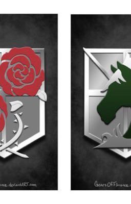 Во имя человечества