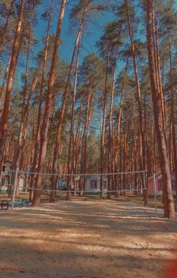 Лагерь «Лесной»|| Софья Кульгавая