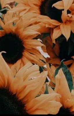 28 дней после