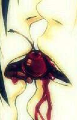 В поисках тьмы.