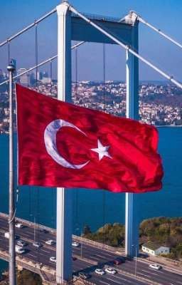 Моя новая жизнь