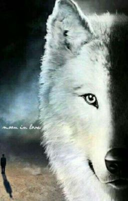 Струны Души Оборотней