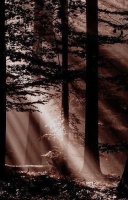 Slipped (Соскользнувший)