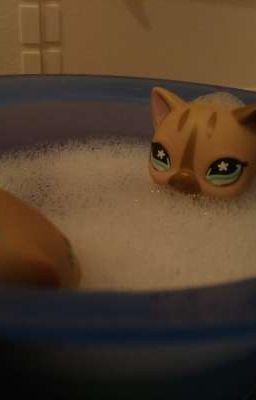 Предатель Лера.