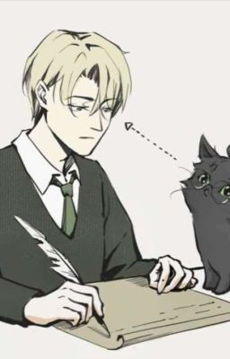 Кошка бывает кусачей