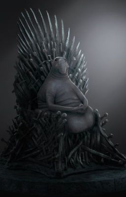 Слова разных песен.