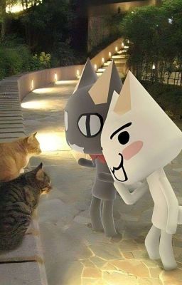 ✒️ 𝙳𝚊𝚗𝚐𝚊𝚗𝚛𝚘𝚗𝚙𝚊 × 𝚁𝚎𝚊𝚍𝚎𝚛 🗞️