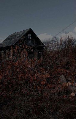 три дня из сна