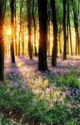 В не галактики