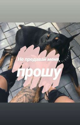Не предавай меня , прошу