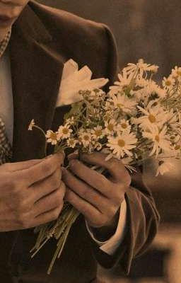 Листья ромашки