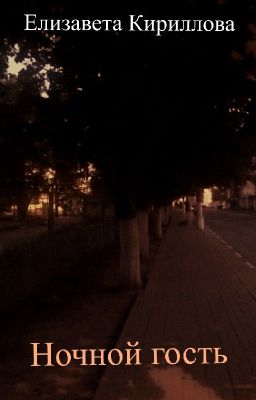 Ночной гость