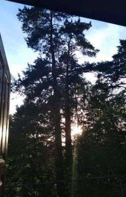 Танцуй на костях(COUNTRYHUMANS)[ЗАМОРОЖЕН] 