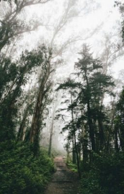 "Больше Не Будет Как Раньше"