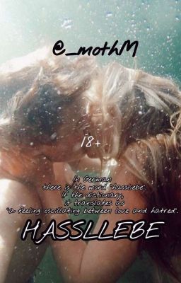 HASSLIEBE |18+|
