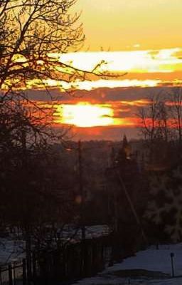 Лиса и Эля вместе до смерти