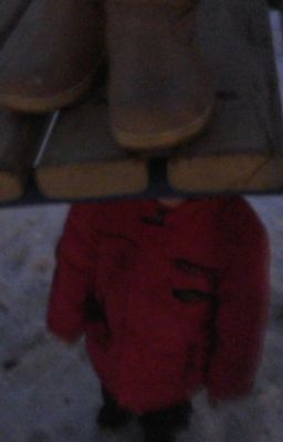 Преследование Жизни.