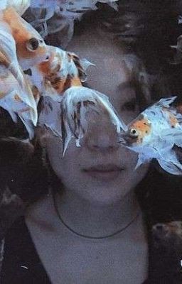 Солнце над нами