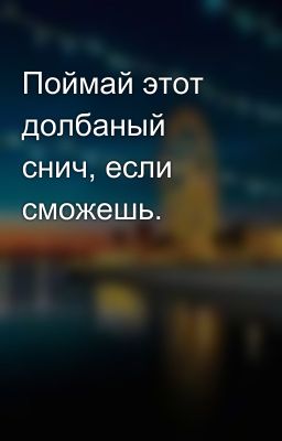 Поймай этот долбаный снич, если сможешь.