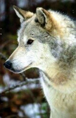 Моя жизнь (В Школе)