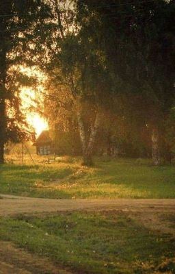 Приключение в первые 2 дня в деревне