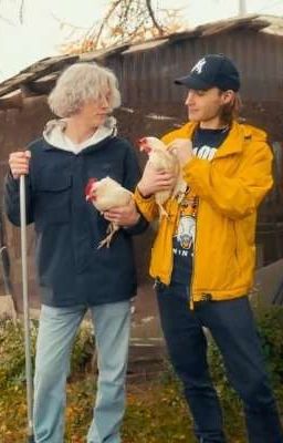 Жизнь в лагере