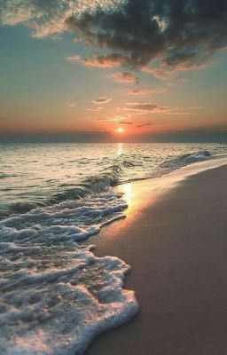 Сад морской музыки