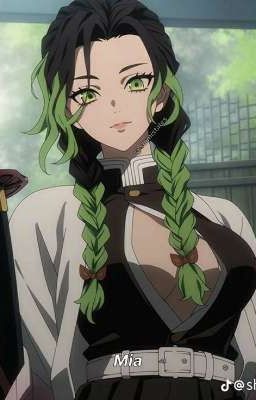 Хашира Звёзд